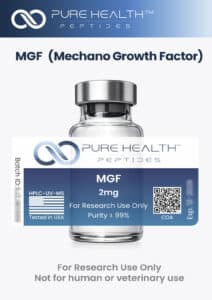 MGF(Mechano Growth Factor)